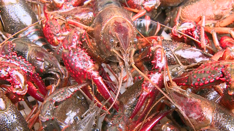 282126_1646382234861247.png 微信图片_20220304160606.png