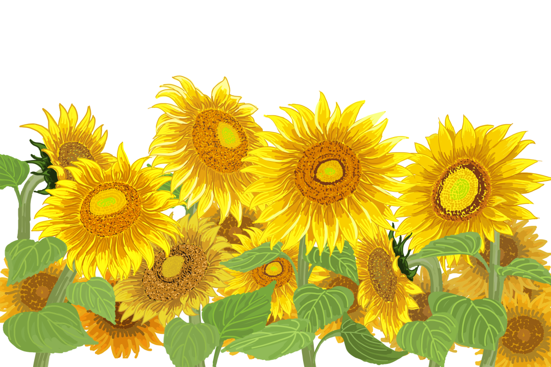 286144_1646273257989351.png 286144_1646273257989351.png