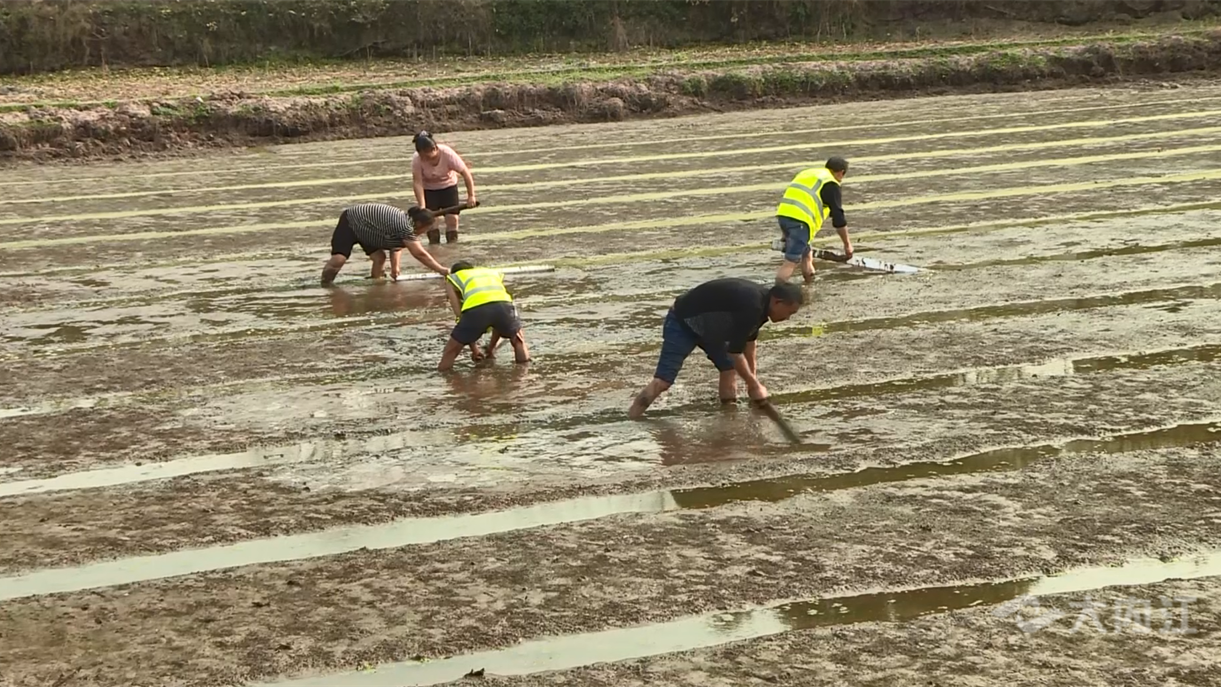 286144_1647833553990913.png 微信图片_20220321112746.png