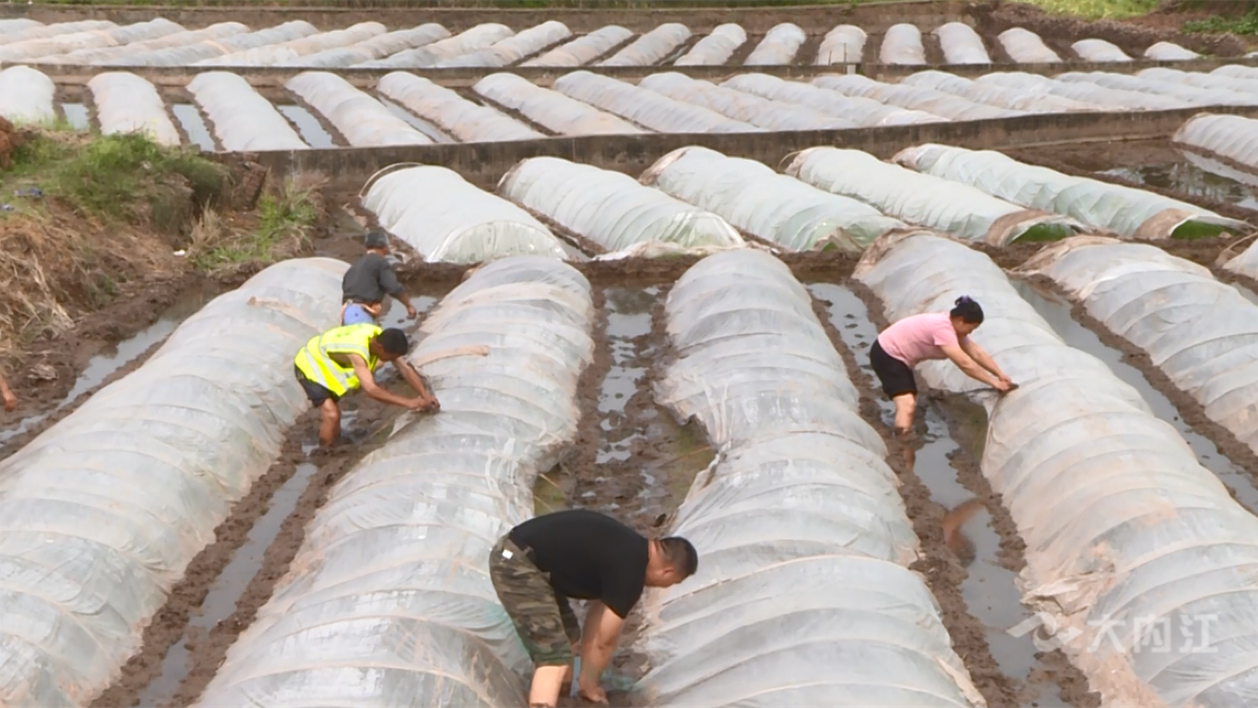 286144_1647833572810513.png 微信图片_20220321112749.png