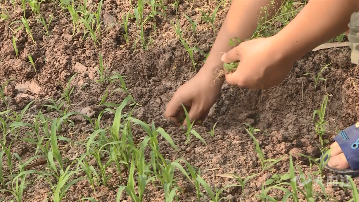 286144_1647833584877783.png 微信图片_20220321112729.png