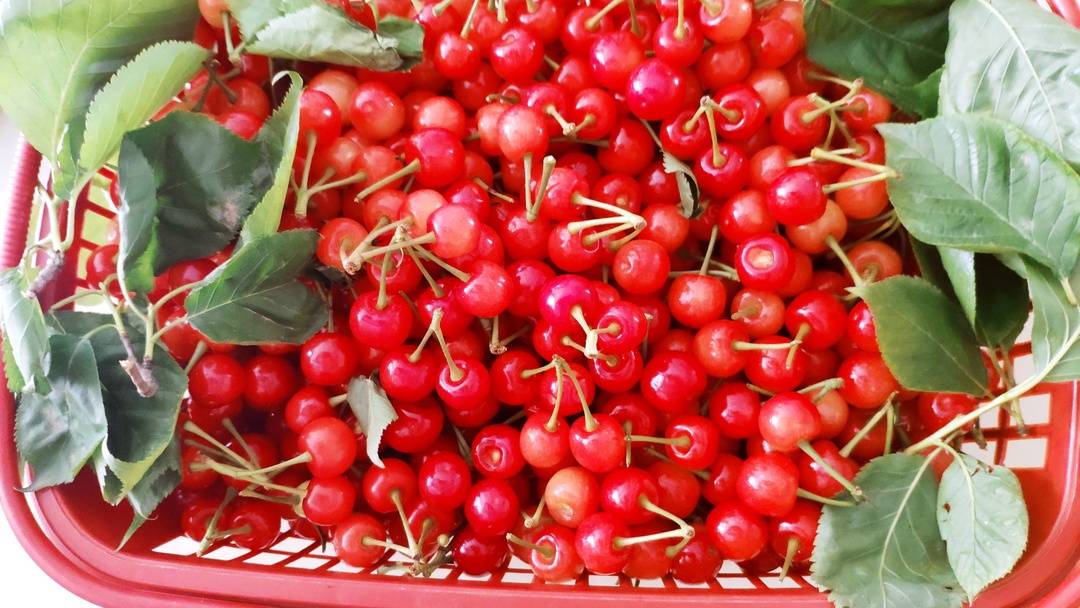 282126_1648901578772370.jpg 微信图片_20220402201206.jpg