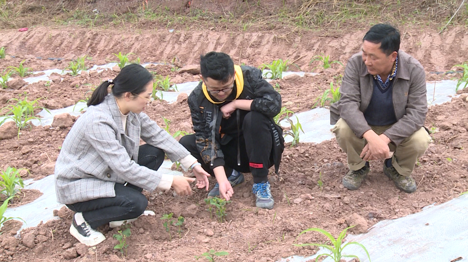 282126_1649410473401997.png 微信图片_20220408173258.png