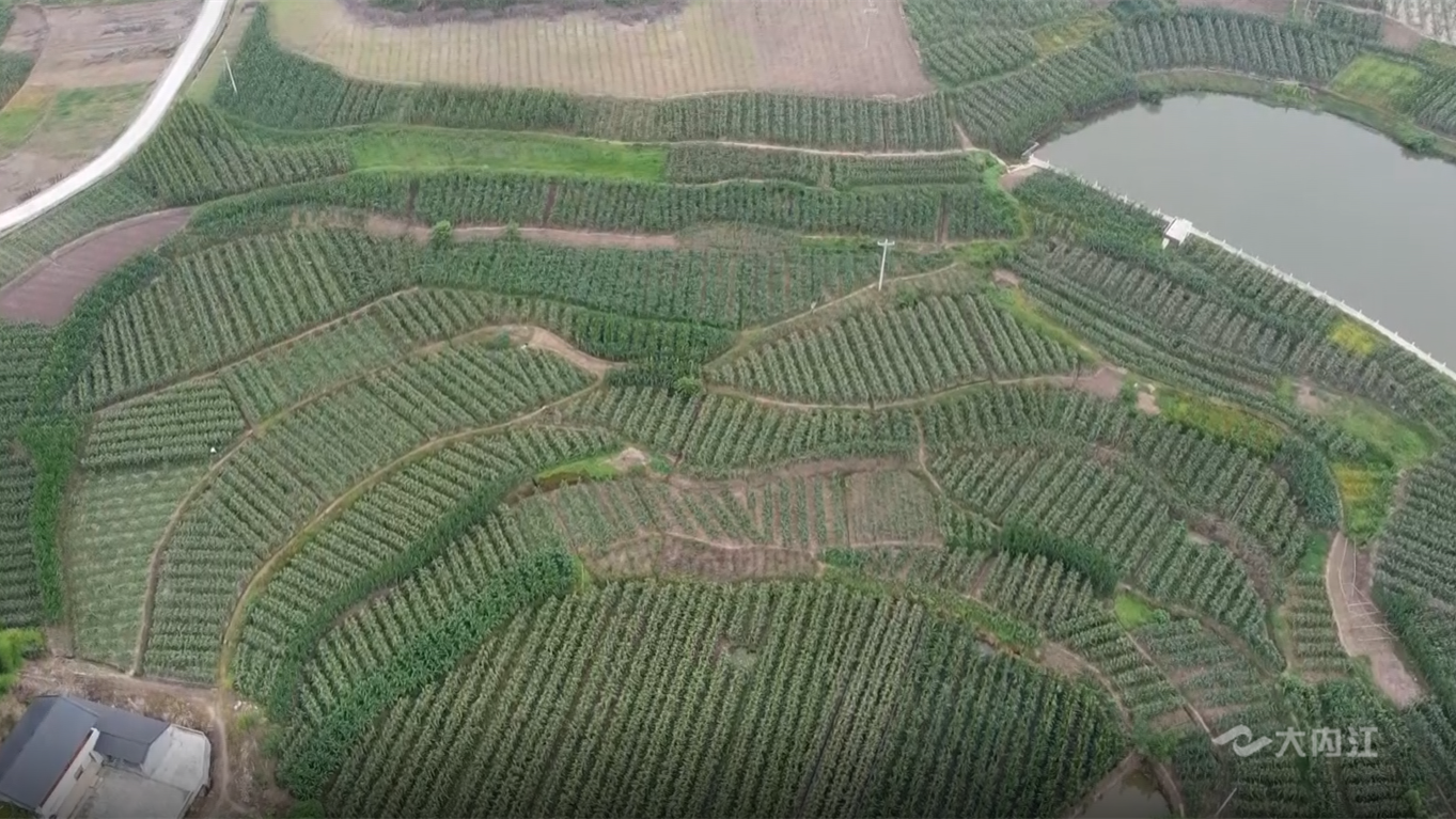 269955_1653535203728188.png 微信图片_20220526111641.png