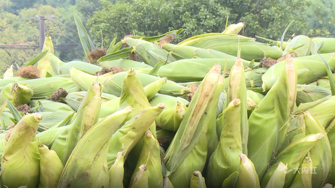 269955_1653535218912260.png 微信图片_202205261116413.png