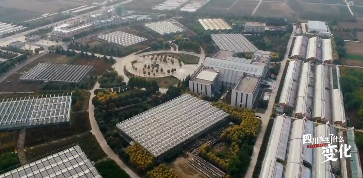 269955_1653557121266933.png 112.png