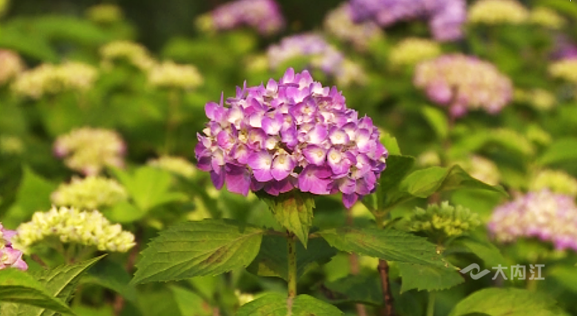 282126_1651636225977754.png 微信截图_20220504114852.png