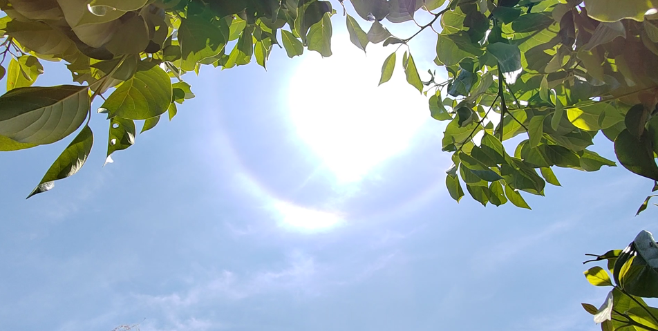 282126_1651640465483417.png 微信截图_20220504124811.png