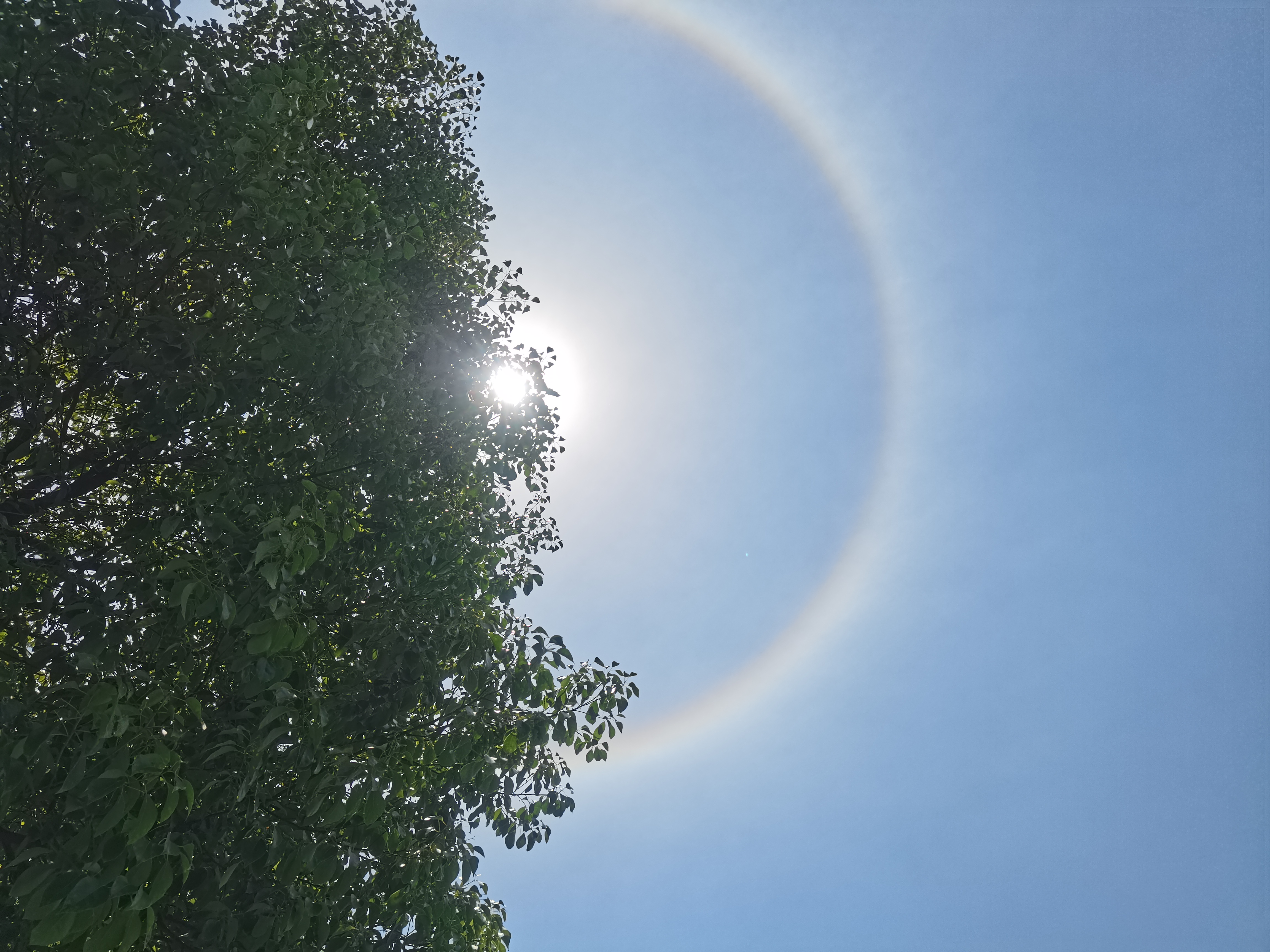 282126_1651640479166322.jpg 微信图片_20220504124543.jpg