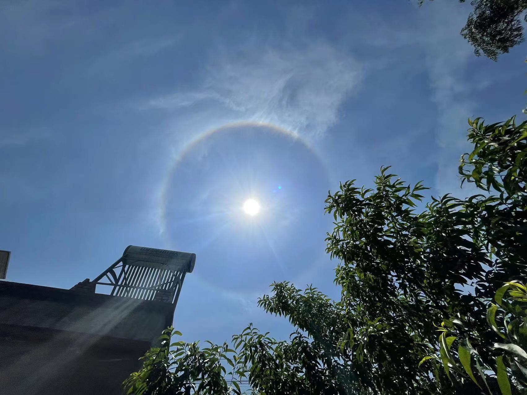 282126_1651640493139590.jpg 微信图片_20220504125723.jpg