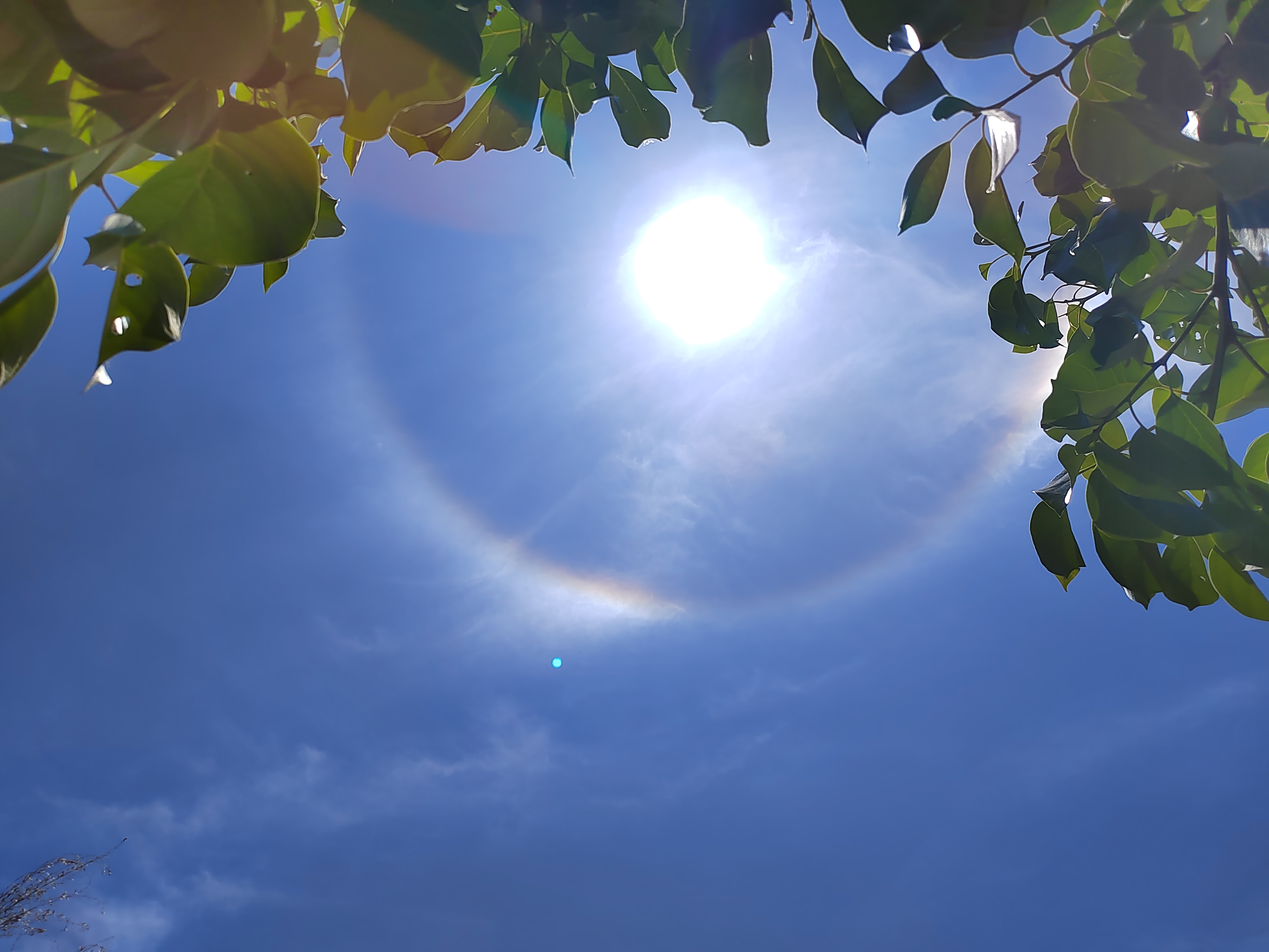 282126_1651640517669076.jpg 微信图片_20220504124949.jpg