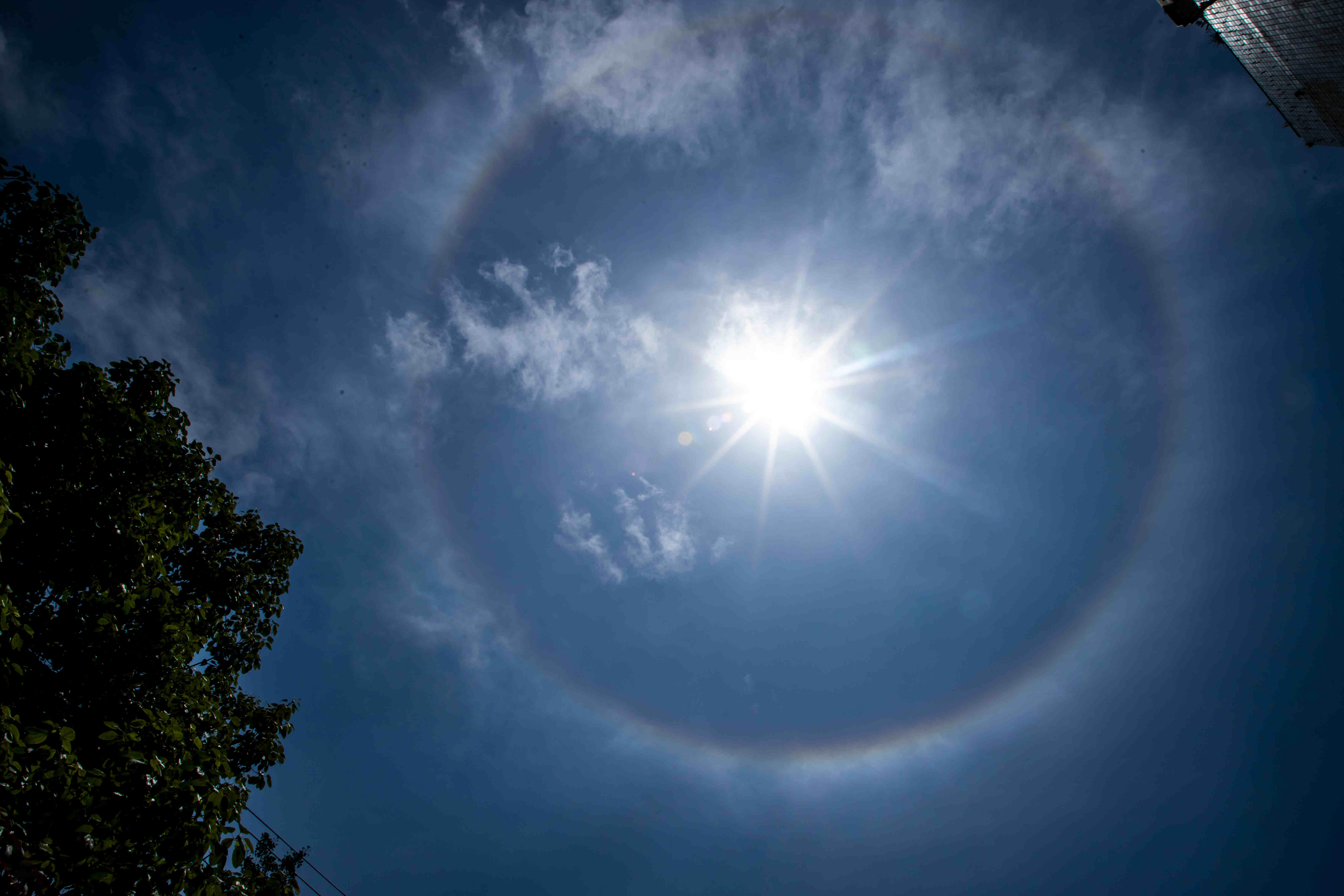 282126_1651640720158658.jpg 微信图片_20220504130259.jpg