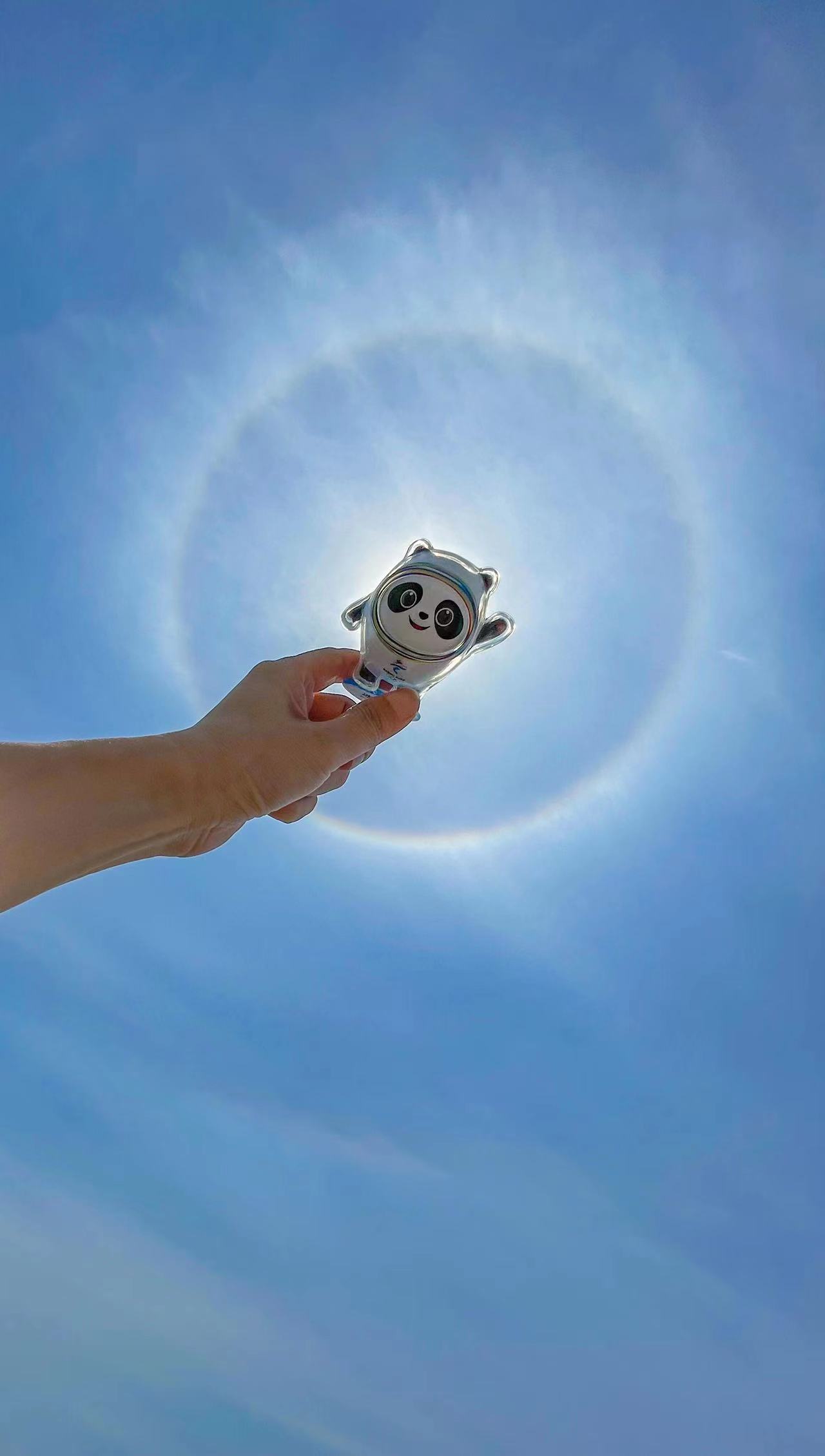 282126_1651640774145521.jpg 微信图片_20220504130530.jpg