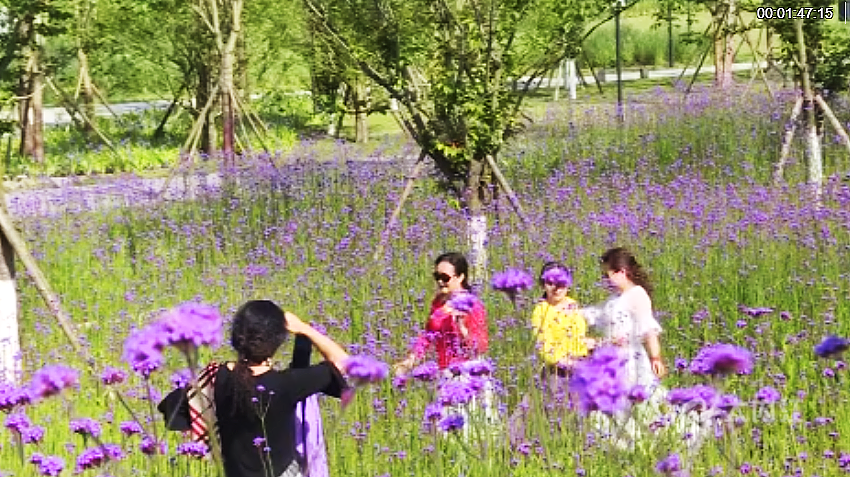 282126_1651652414698460.png 微信截图_20220504161829.png