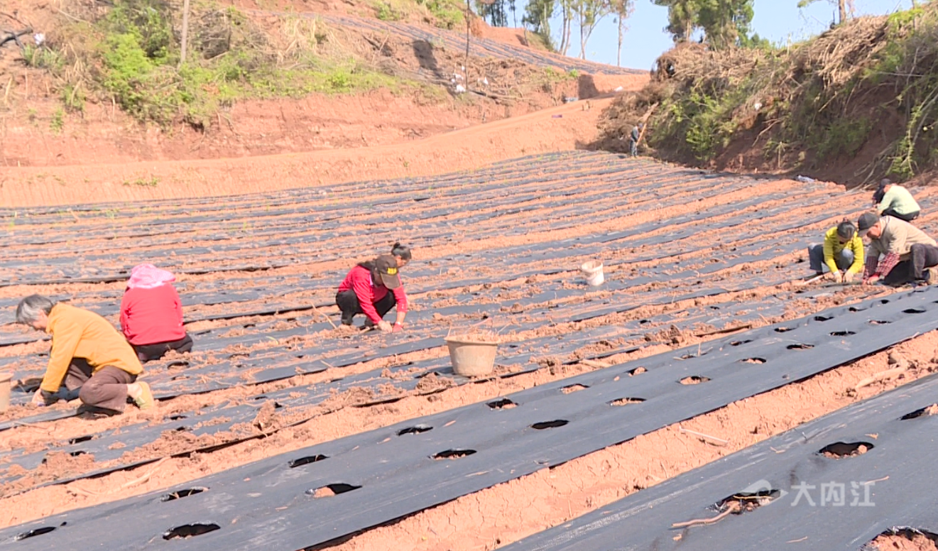 282126_1652776400124994.png 微信图片_20220517162957.png