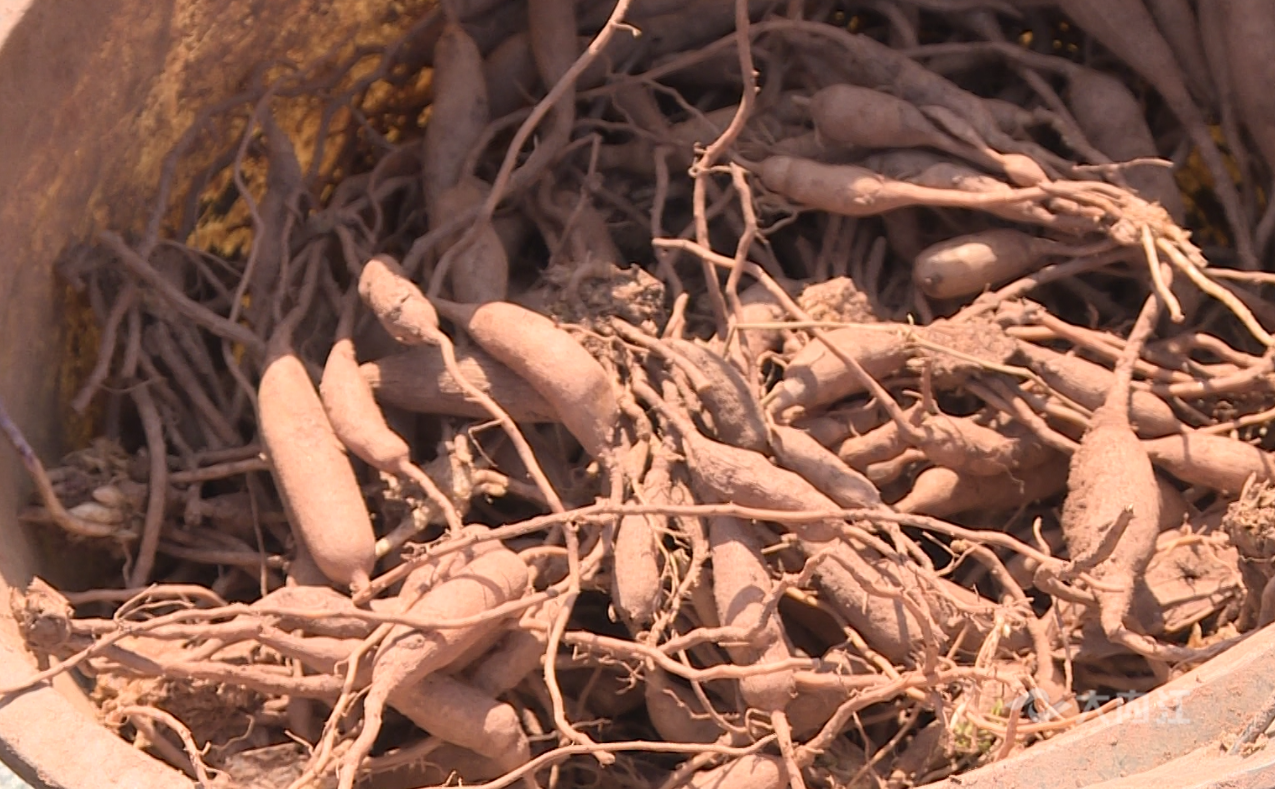 282126_1652776422633957.png 微信图片_20220517163030.png