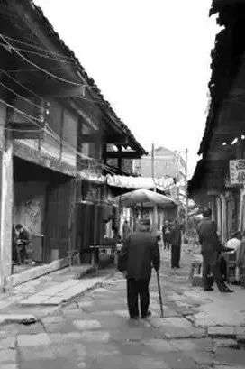 282126_1653445698198227.jpg 微信图片_20220525102732.jpg