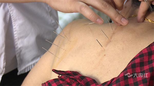 286033_1652361187789645.png 曾文武03.png