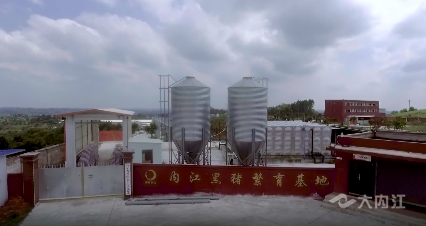 微信截图_20220623155352.png