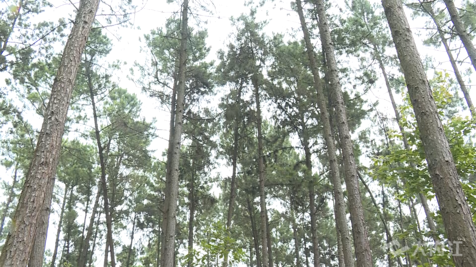 269955_1657609236737688.png 微信图片_202207121455462.png