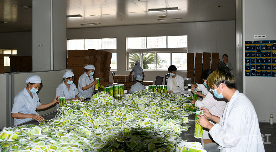 269955_1661936713949934.png 11.png