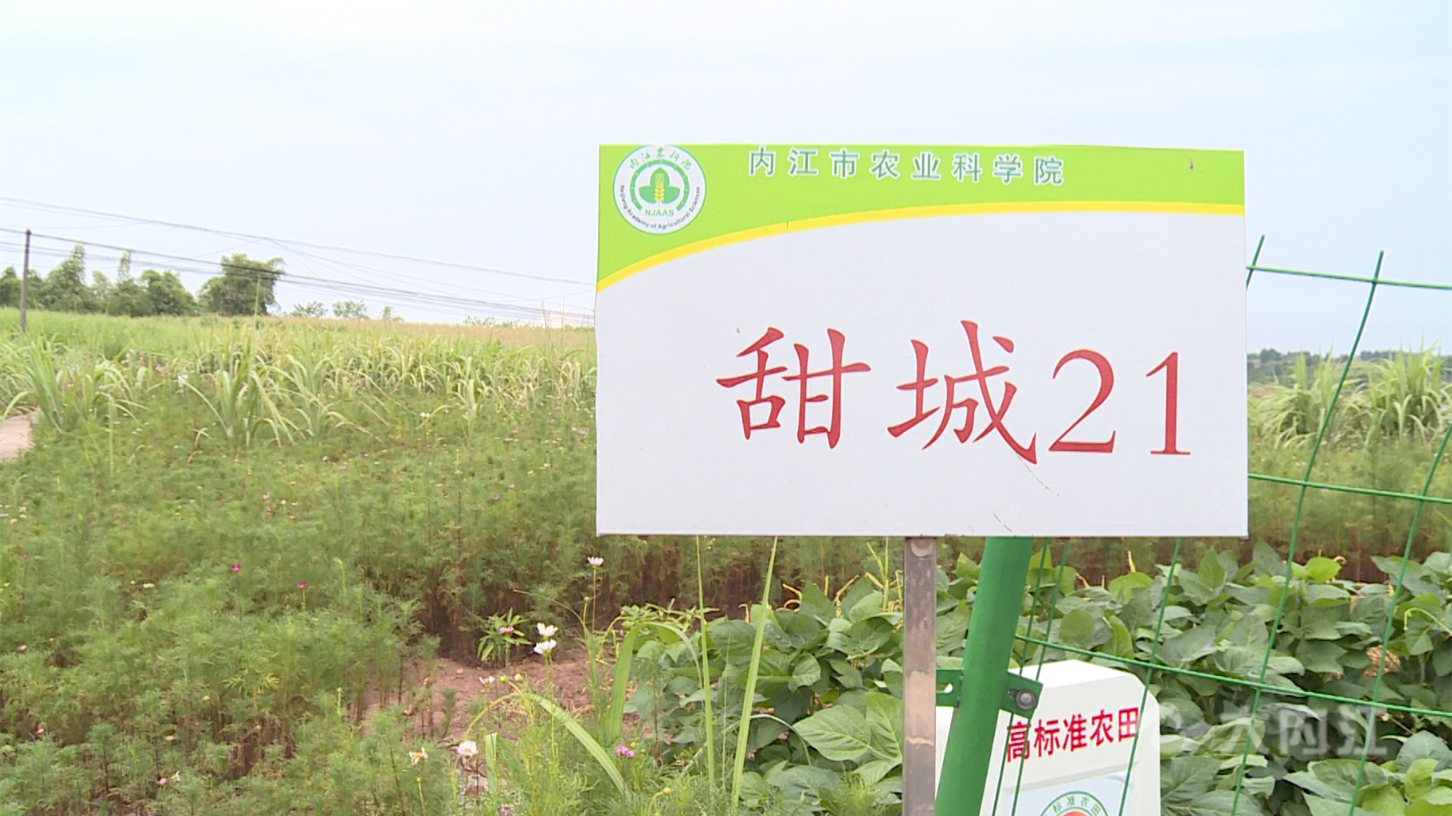 微信截图_20220805101033.png