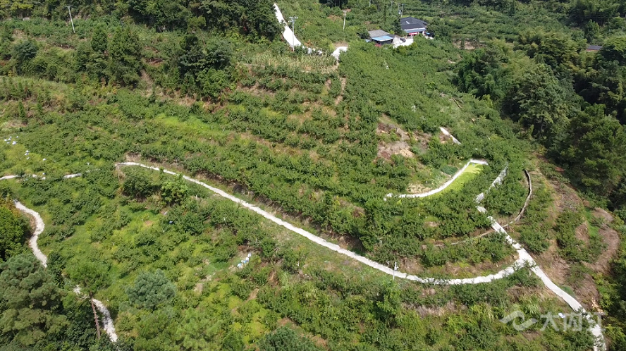 DJI_0910.00_00_00_00.静止001.bmp