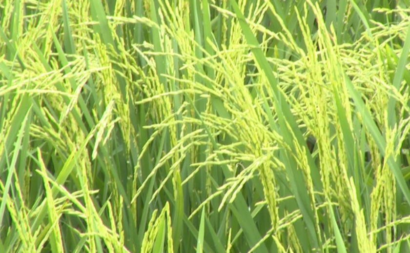 323896_1662002736794506.png 微信图片_20220901112115.png