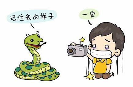 图片11.png
