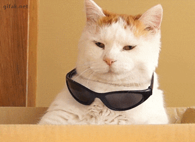 789a51b4464a1810b087cee3000007c3_t011da322e3368880a1.gif